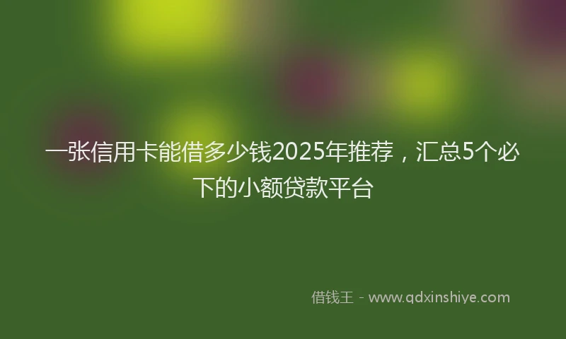 一张信用卡能借多少钱2025年推荐，汇总5个必下的小额贷款平台