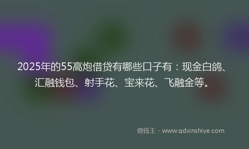 2025年的55高炮借贷有哪些口子有：现金白鸽、汇融钱包、射手花、宝来花、飞融金等。