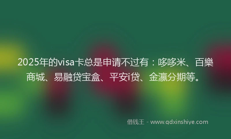 2025年的visa卡总是申请不过有：哆哆米、百樂商城、易融贷宝盒、平安i贷、金瀛分期等。