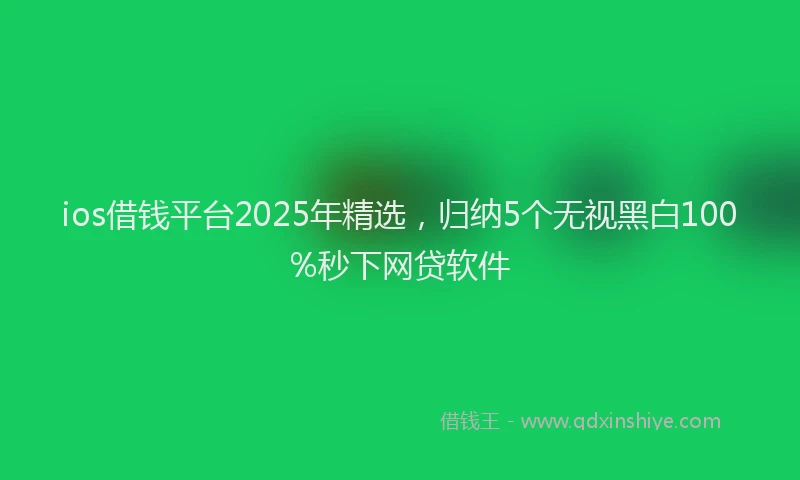 ios借钱平台2025年精选,归纳5个无视黑白100%秒下网贷软件