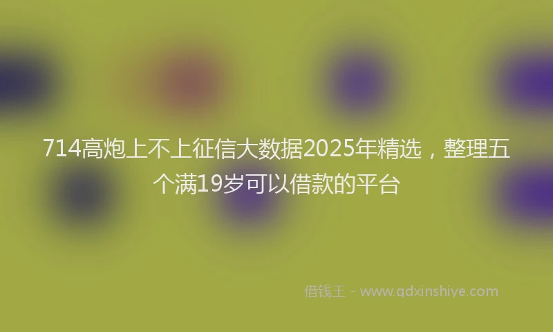 714高炮上不上征信大数据2025年精选，整理五个满19岁可以借款的平台