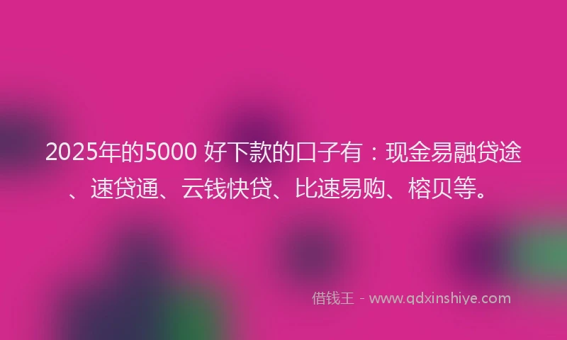 2025年的5000 好下款的口子有:现金易融贷途、速贷通、云钱快贷、比速易购、榕贝等。