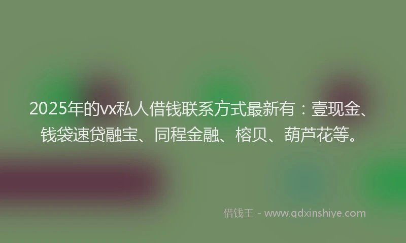 2025年的vx私人借钱联系方式最新有：壹现金、钱袋速贷融宝、同程金融、榕贝、葫芦花等。