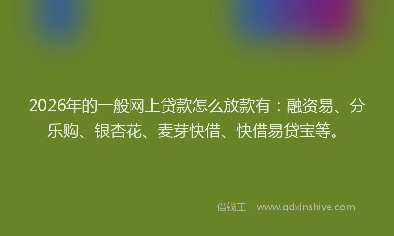 2026年的一般网上贷款怎么放款有：融资易、分乐购、银杏花、麦芽快借、快借易贷宝等。