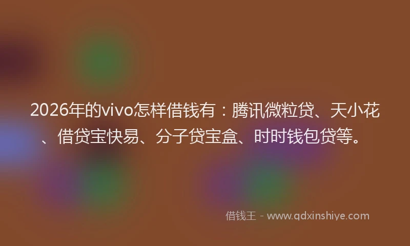 2026年的vivo怎样借钱有：腾讯微粒贷、天小花、借贷宝快易、分子贷宝盒、时时钱包贷等。