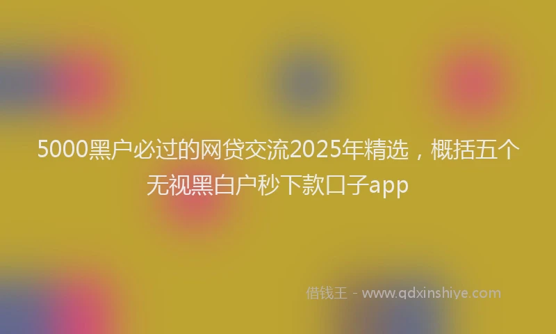 5000黑户必过的网贷交流2025年精选,概括五个无视黑白户秒下款口子app