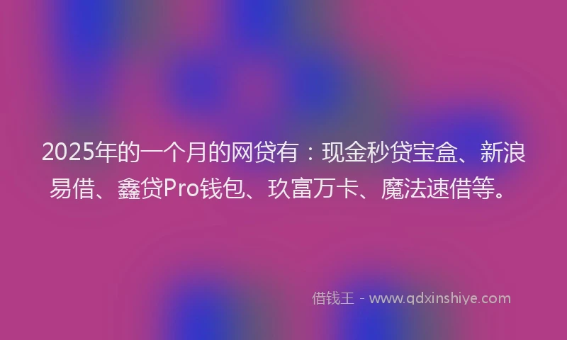 2025年的一个月的网贷有：现金秒贷宝盒、新浪易借、鑫贷Pro钱包、玖富万卡、魔法速借等。