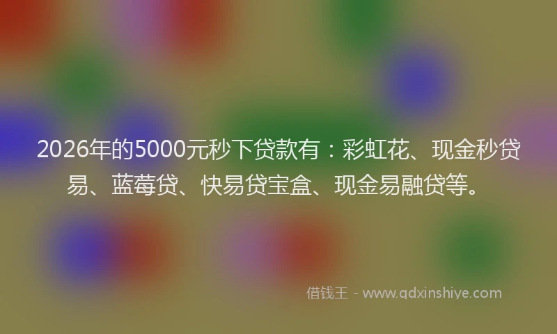 2026年的5000元秒下贷款有:彩虹花、现金秒贷易、蓝莓贷、快易贷宝盒、现金易融贷等。