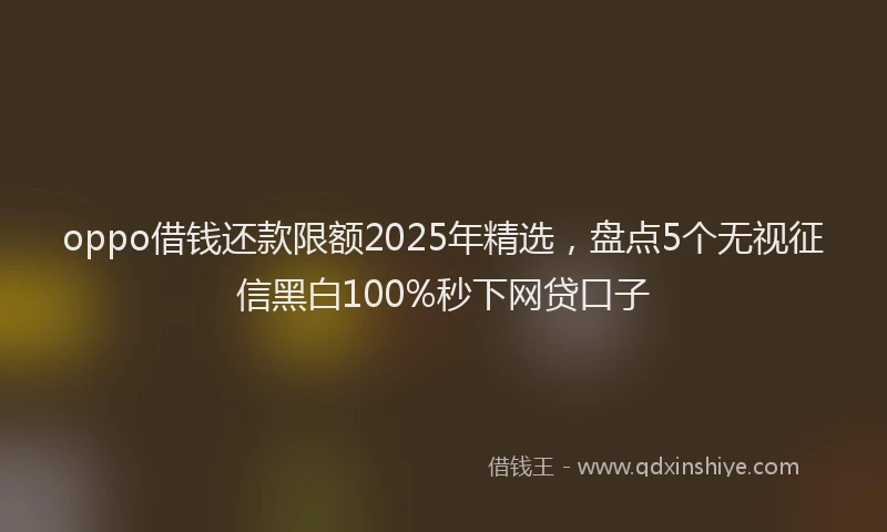 oppo借钱还款限额2025年精选，盘点5个无视征信黑白100%秒下网贷口子