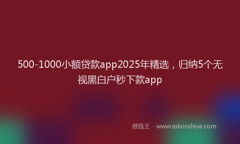 500-1000小额贷款app2025年精选，归纳5个无视黑白户秒下款app