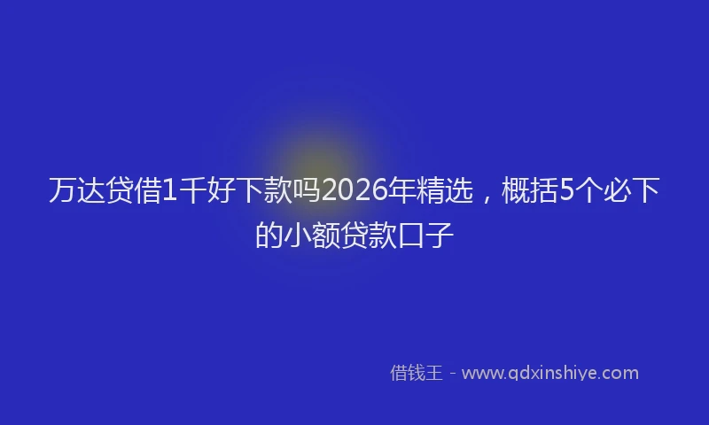 万达贷借1千好下款吗2026年精选，概括5个必下的小额贷款口子