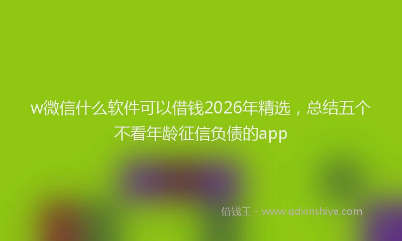 w微信什么软件可以借钱2026年精选，总结五个不看年龄征信负债的app