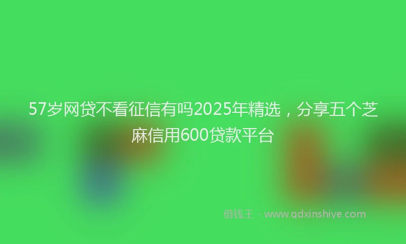 57岁网贷不看征信有吗2025年精选，分享五个芝麻信用600贷款平台