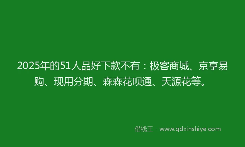 2025年的51人品好下款不有：极客商城、京享易购、现用分期、森森花呗通、天源花等。
