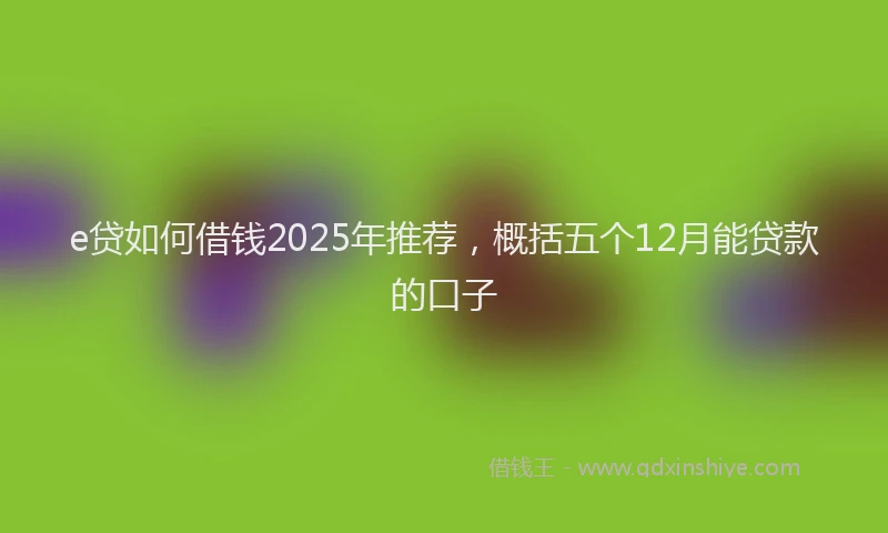 e贷如何借钱2025年推荐，概括五个12月能贷款的口子