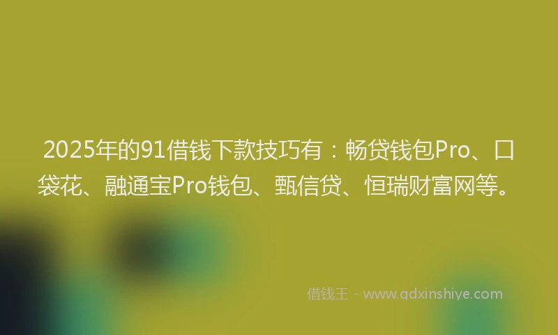 2025年的91借钱下款技巧有：畅贷钱包Pro、口袋花、融通宝Pro钱包、甄信贷、恒瑞财富网等。