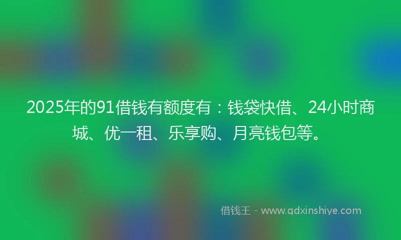 2025年的91借钱有额度有：钱袋快借、24小时商城、优一租、乐享购、月亮钱包等。