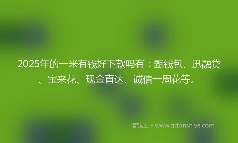 2025年的一米有钱好下款吗有:甄钱包、迅融贷、宝来花、现金直达、诚信一周花等。