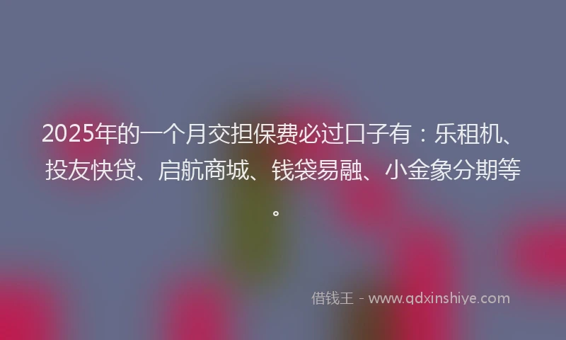 2025年的一个月交担保费必过口子有：乐租机、投友快贷、启航商城、钱袋易融、小金象分期等。