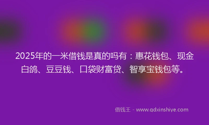 2025年的一米借钱是真的吗有：惠花钱包、现金白鸽、豆豆钱、口袋财富贷、智享宝钱包等。