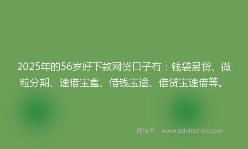 2025年的56岁好下款网贷口子有：钱袋易贷、微粒分期、速借宝盒、借钱宝途、借贷宝速借等。