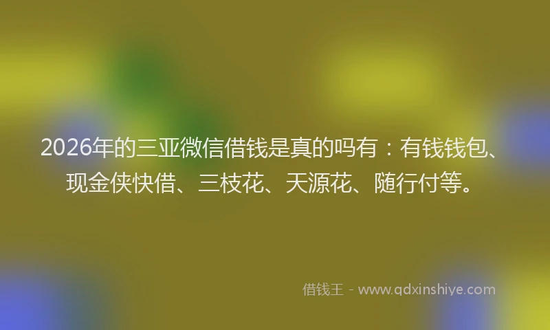 2026年的三亚微信借钱是真的吗有：有钱钱包、现金侠快借、三枝花、天源花、随行付等。
