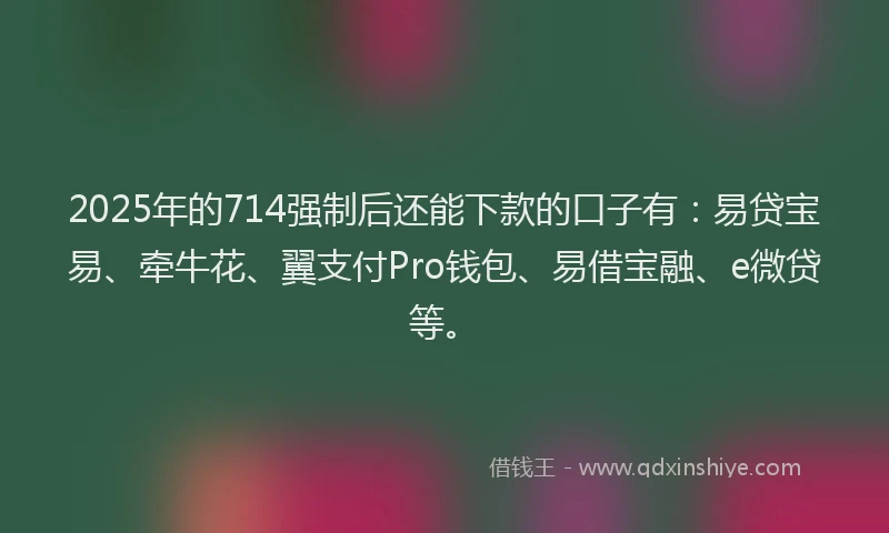 2025年的714强制后还能下款的口子有：易贷宝易、牵牛花、翼支付Pro钱包、易借宝融、e微贷等。