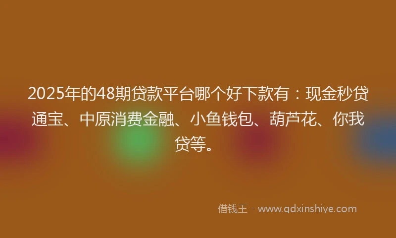 2025年的48期贷款平台哪个好下款有：现金秒贷通宝、中原消费金融、小鱼钱包、葫芦花、你我贷等。