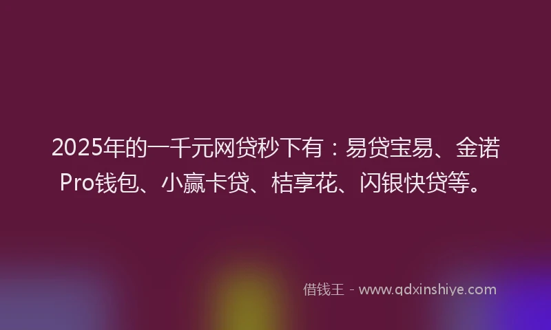 2025年的一千元网贷秒下有：易贷宝易、金诺Pro钱包、小赢卡贷、桔享花、闪银快贷等。