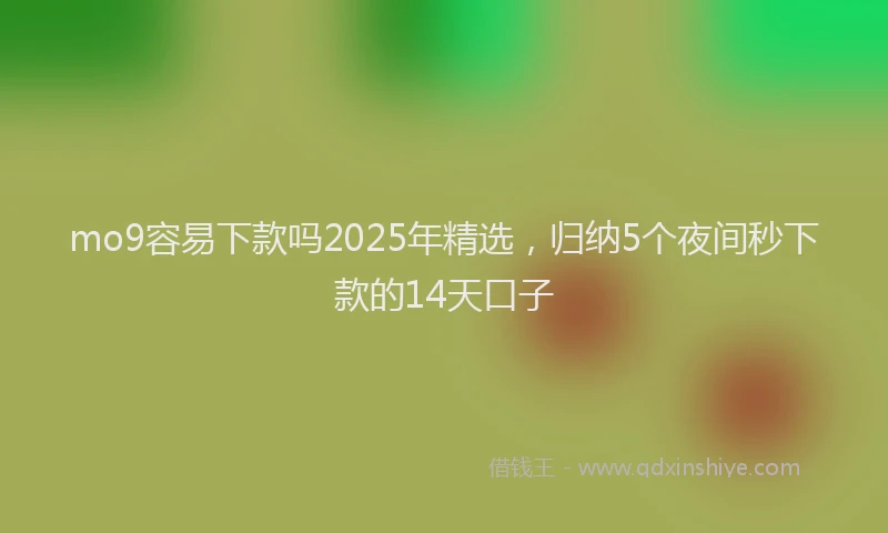mo9容易下款吗2025年精选，归纳5个夜间秒下款的14天口子