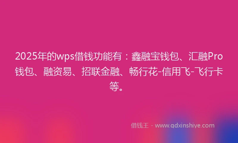 2025年的wps借钱功能有：鑫融宝钱包、汇融Pro钱包、融资易、招联金融、畅行花-信用飞-飞行卡等。