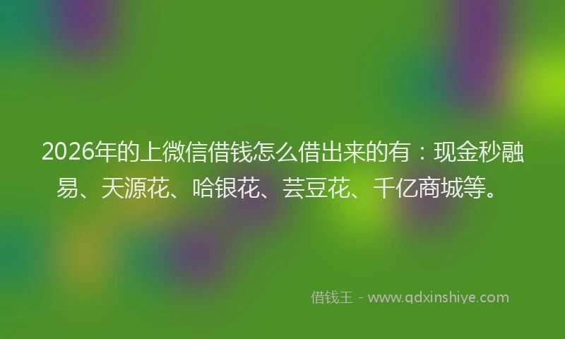 2026年的上微信借钱怎么借出来的有：现金秒融易、天源花、哈银花、芸豆花、千亿商城等。