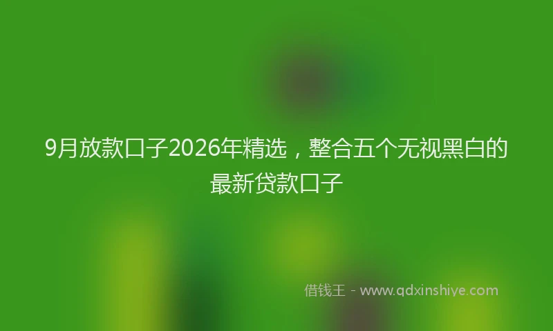 9月放款口子2026年精选，整合五个无视黑白的最新贷款口子