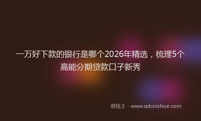 一万好下款的银行是哪个2026年精选，梳理5个高能分期贷款口子新秀
