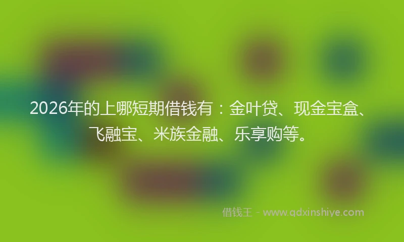 2026年的上哪短期借钱有:金叶贷、现金宝盒、飞融宝、米族金融、乐享购等。