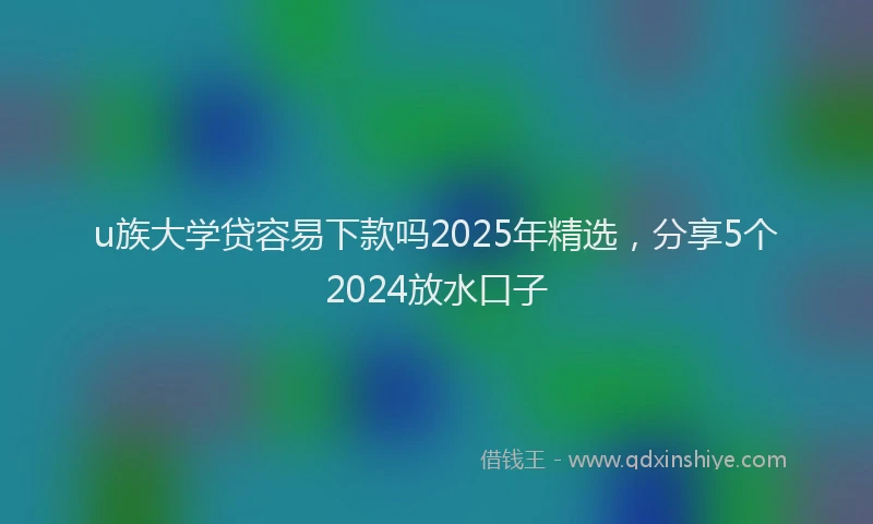 u族大学贷容易下款吗2025年精选，分享5个2024放水口子