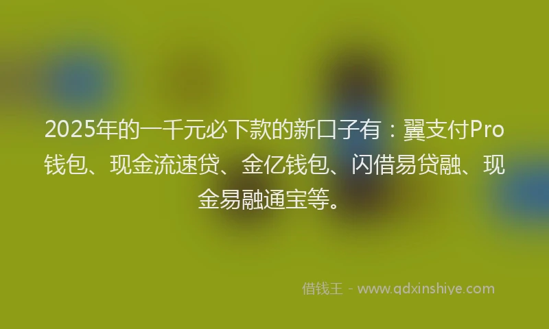 2025年的一千元必下款的新口子有：翼支付Pro钱包、现金流速贷、金亿钱包、闪借易贷融、现金易融通宝等。