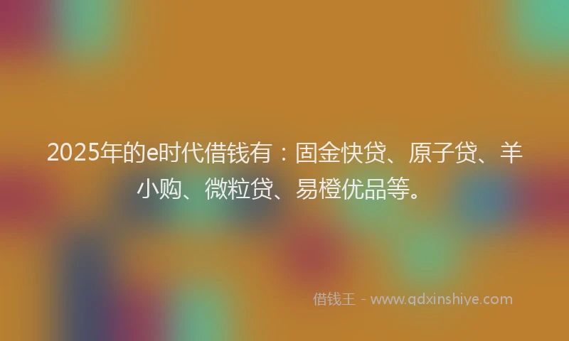 2025年的e时代借钱有：固金快贷、原子贷、羊小购、微粒贷、易橙优品等。
