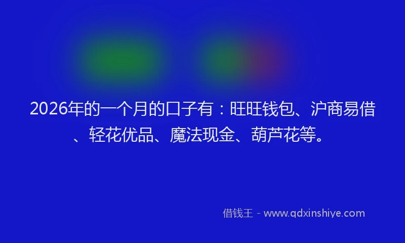 2026年的一个月的口子有：旺旺钱包、沪商易借、轻花优品、魔法现金、葫芦花等。