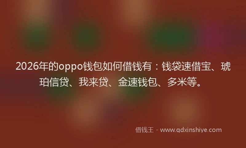 2026年的oppo钱包如何借钱有：钱袋速借宝、琥珀信贷、我来贷、金速钱包、多米等。