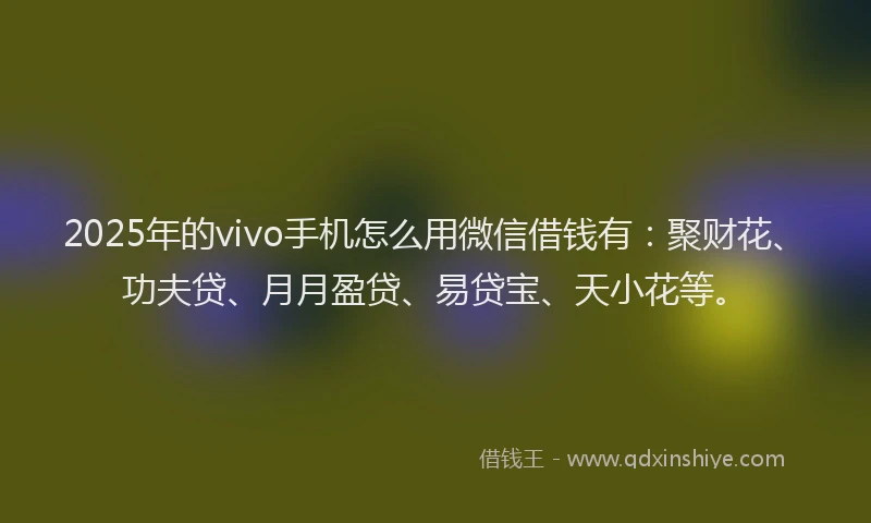 2025年的vivo手机怎么用微信借钱有：聚财花、功夫贷、月月盈贷、易贷宝、天小花等。