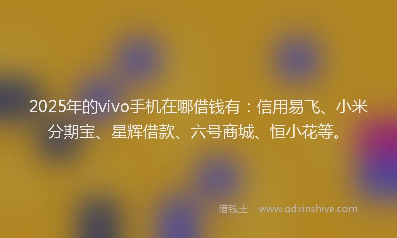2025年的vivo手机在哪借钱有：信用易飞、小米分期宝、星辉借款、六号商城、恒小花等。