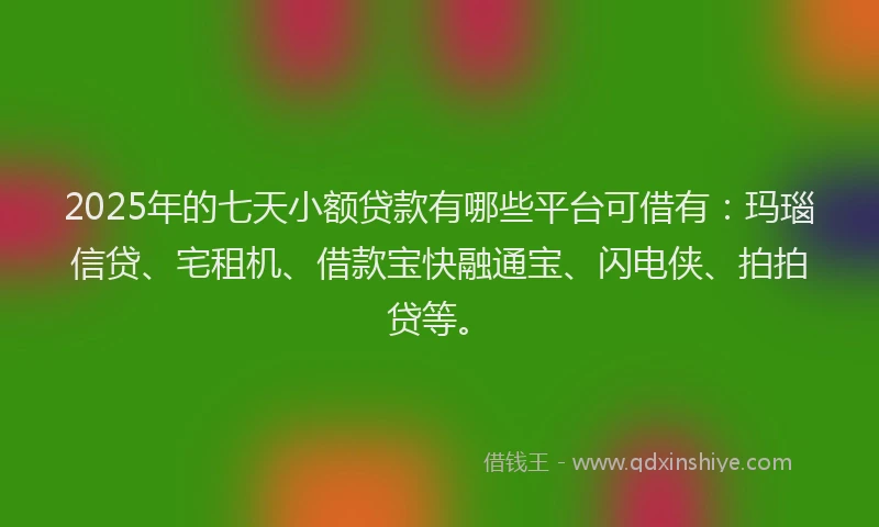 2025年的七天小额贷款有哪些平台可借有：玛瑙信贷、宅租机、借款宝快融通宝、闪电侠、拍拍贷等。