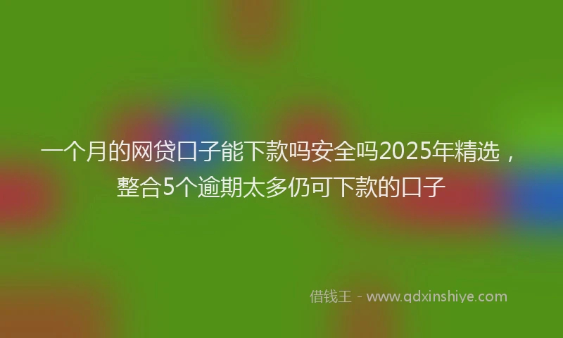 一个月的网贷口子能下款吗安全吗2025年精选，整合5个逾期太多仍可下款的口子