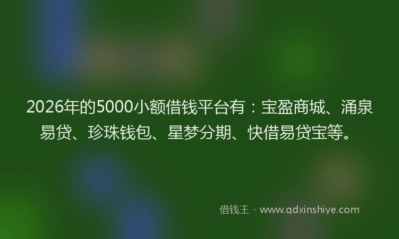 2026年的5000小额借钱平台有:宝盈商城、涌泉易贷、珍珠钱包、星梦分期、快借易贷宝等。