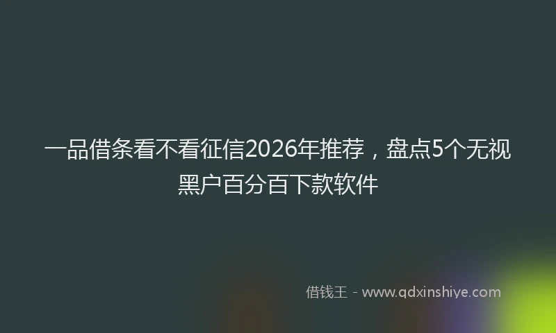 一品借条看不看征信2026年推荐，盘点5个无视黑户百分百下款软件