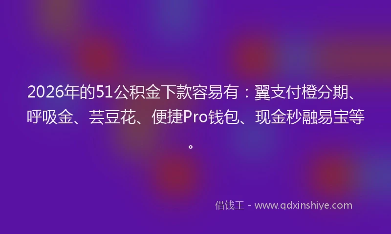 2026年的51公积金下款容易有：翼支付橙分期、呼吸金、芸豆花、便捷Pro钱包、现金秒融易宝等。