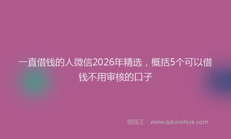 一直借钱的人微信2026年精选，概括5个可以借钱不用审核的口子