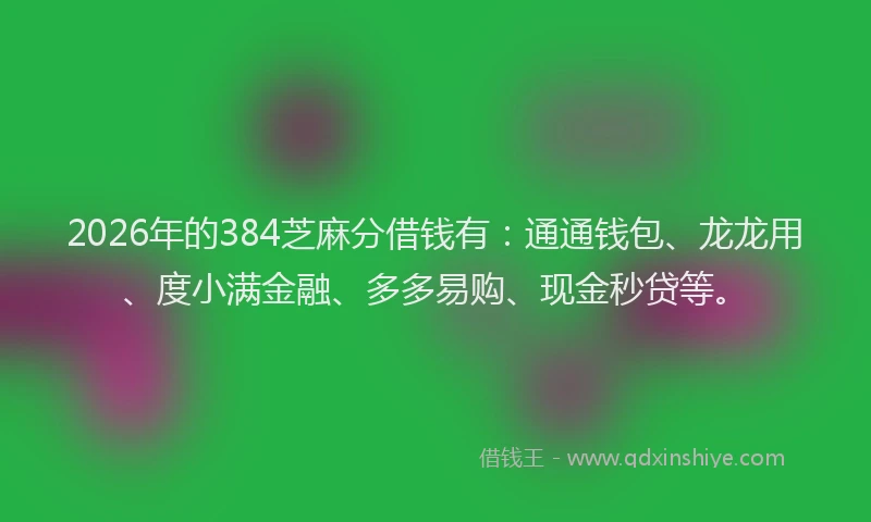2026年的384芝麻分借钱有:通通钱包、龙龙用、度小满金融、多多易购、现金秒贷等。