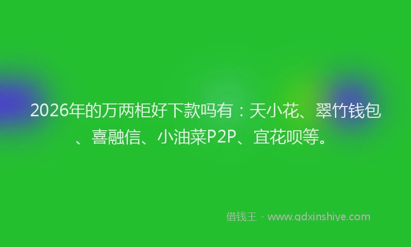 2026年的万两柜好下款吗有：天小花、翠竹钱包、喜融信、小油菜P2P、宜花呗等。